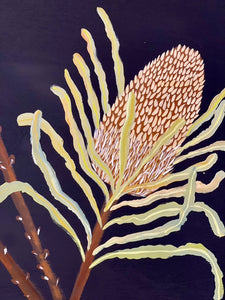 Pods and Banksia #2