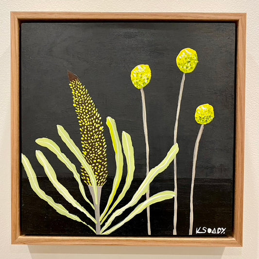 Billy Buttons and Banksia #6
