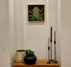 Banksia #8