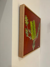 Load image into Gallery viewer, Banksia #15