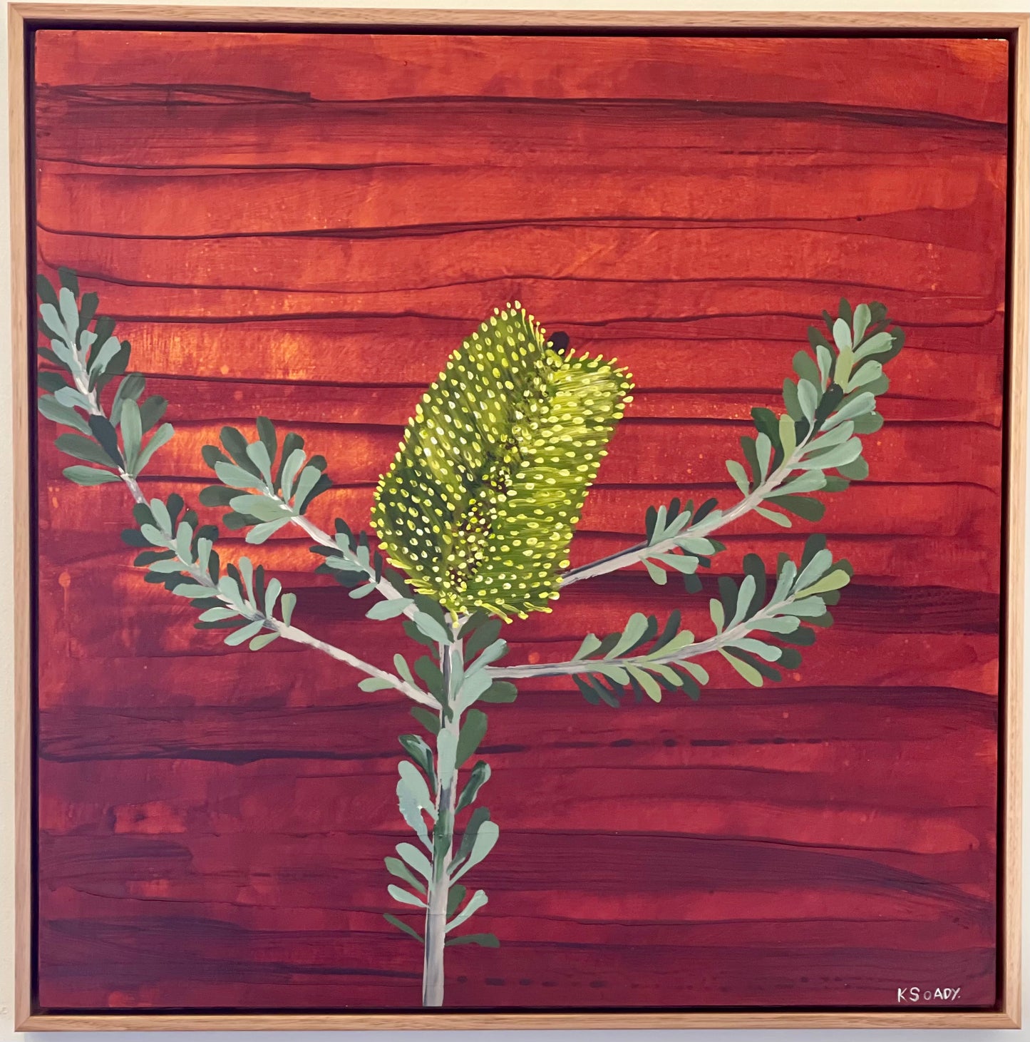 Banksia #16