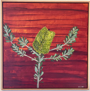 Banksia #16