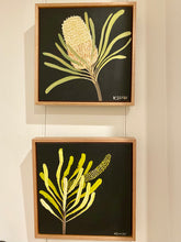Load image into Gallery viewer, Banksia #3