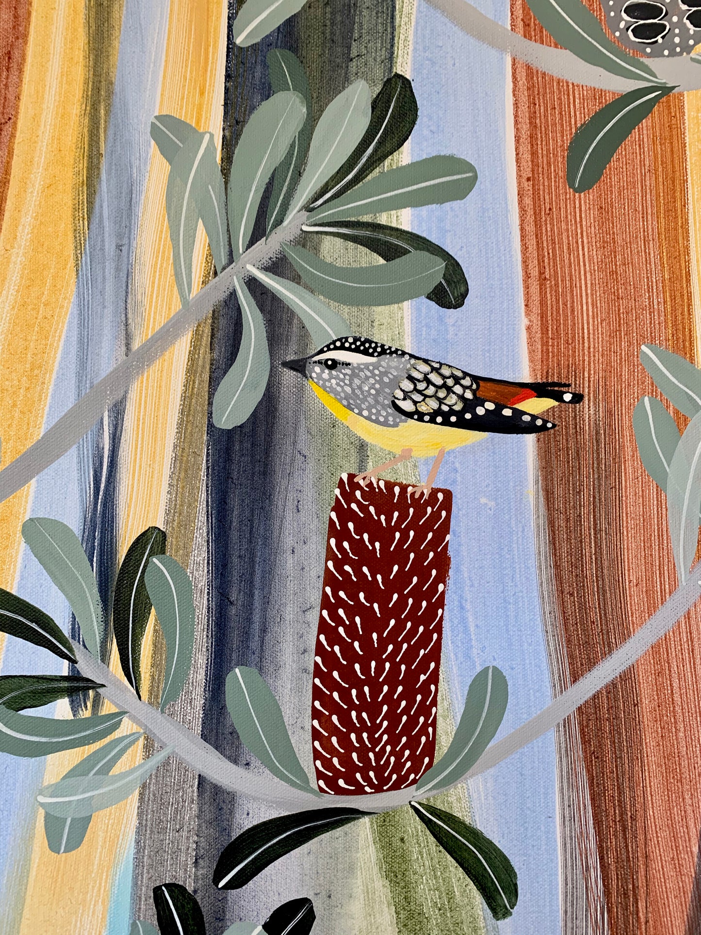 Pardalotes in the Banksia