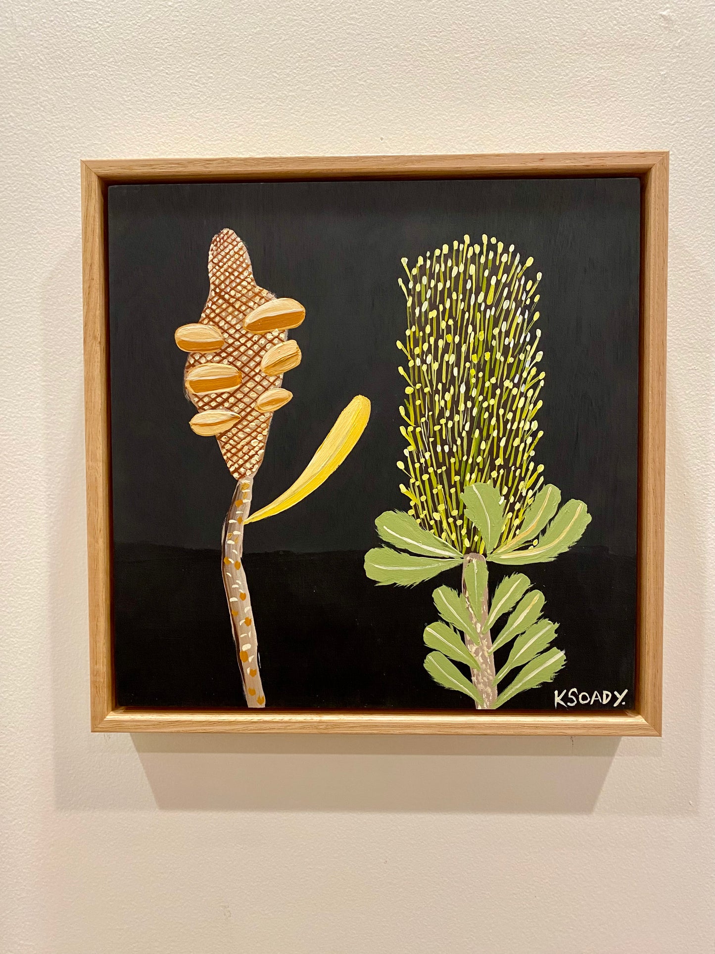 Pod and Banksia #2