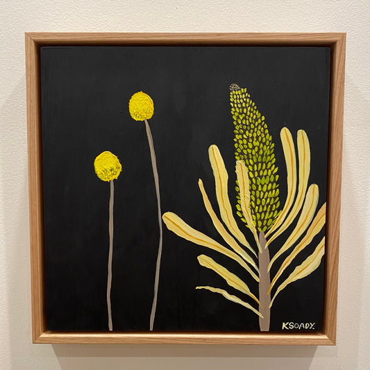 Banksia and Billy Buttons