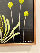 Load image into Gallery viewer, Billy Buttons and Banksia #6