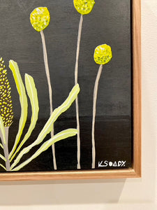 Billy Buttons and Banksia #6