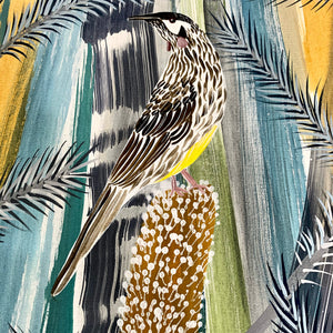 Blue Mountains Wattlebirds