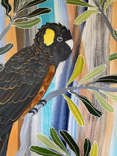 Load image into Gallery viewer, Summer Bushwalk with Black Cockatoos