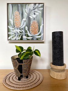 Bush Banksia #1