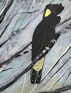 Misty Day Black Cockatoo