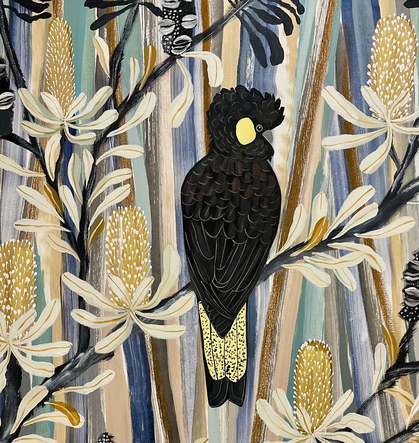 Black Cockatoo in the Bush
