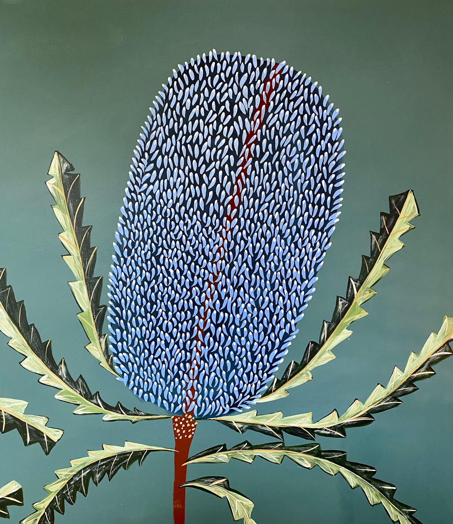Blue Banksia