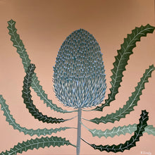 Load image into Gallery viewer, Blush Banksia #1