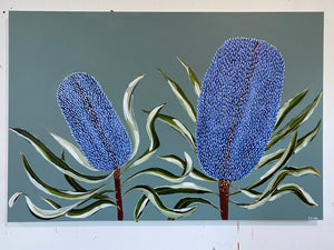Blue Banksia - Sydney