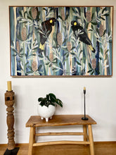 Load image into Gallery viewer, Black Cockies in the Banksia