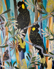 Load image into Gallery viewer, Blue Mountains Black Cockatoos #5
