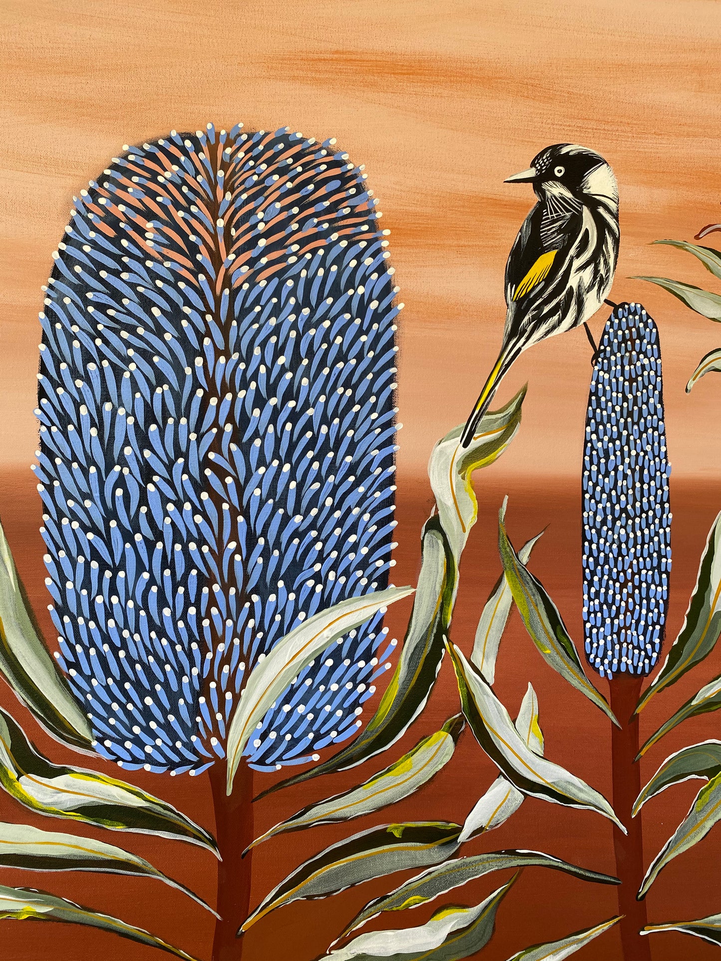 Blue Banksia & Honeyeater