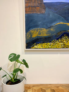 Wattle Mountain
