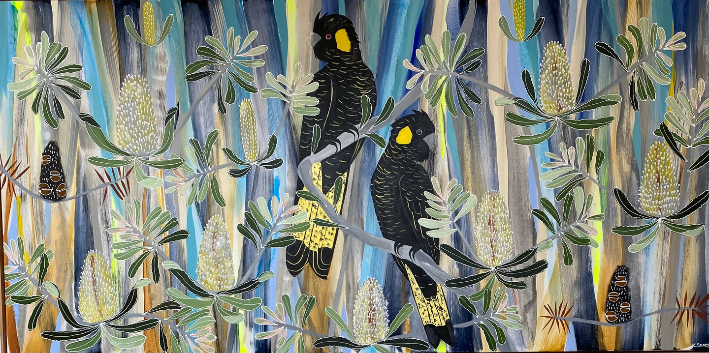 Blue Mountains Black Cockatoos #4