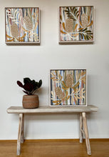 Load image into Gallery viewer, Native Banksia #3