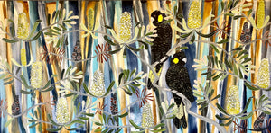 Bush Walk and Black Cockatoos