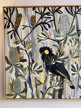 Load image into Gallery viewer, Black Cockatoo Lookout