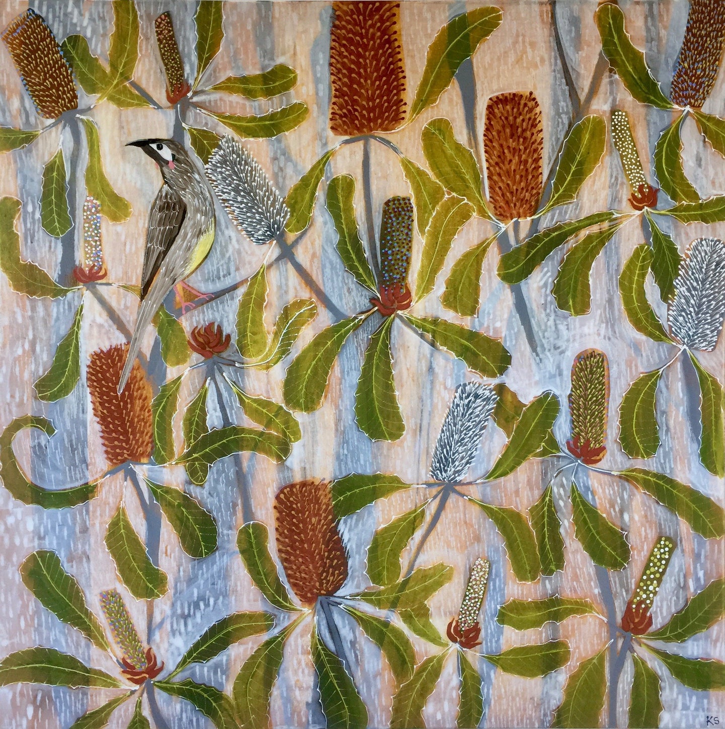 Wattlebird in the Bryon Banksias