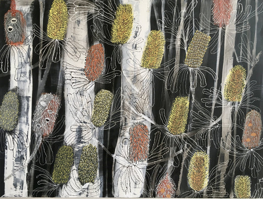 Banksia Night
