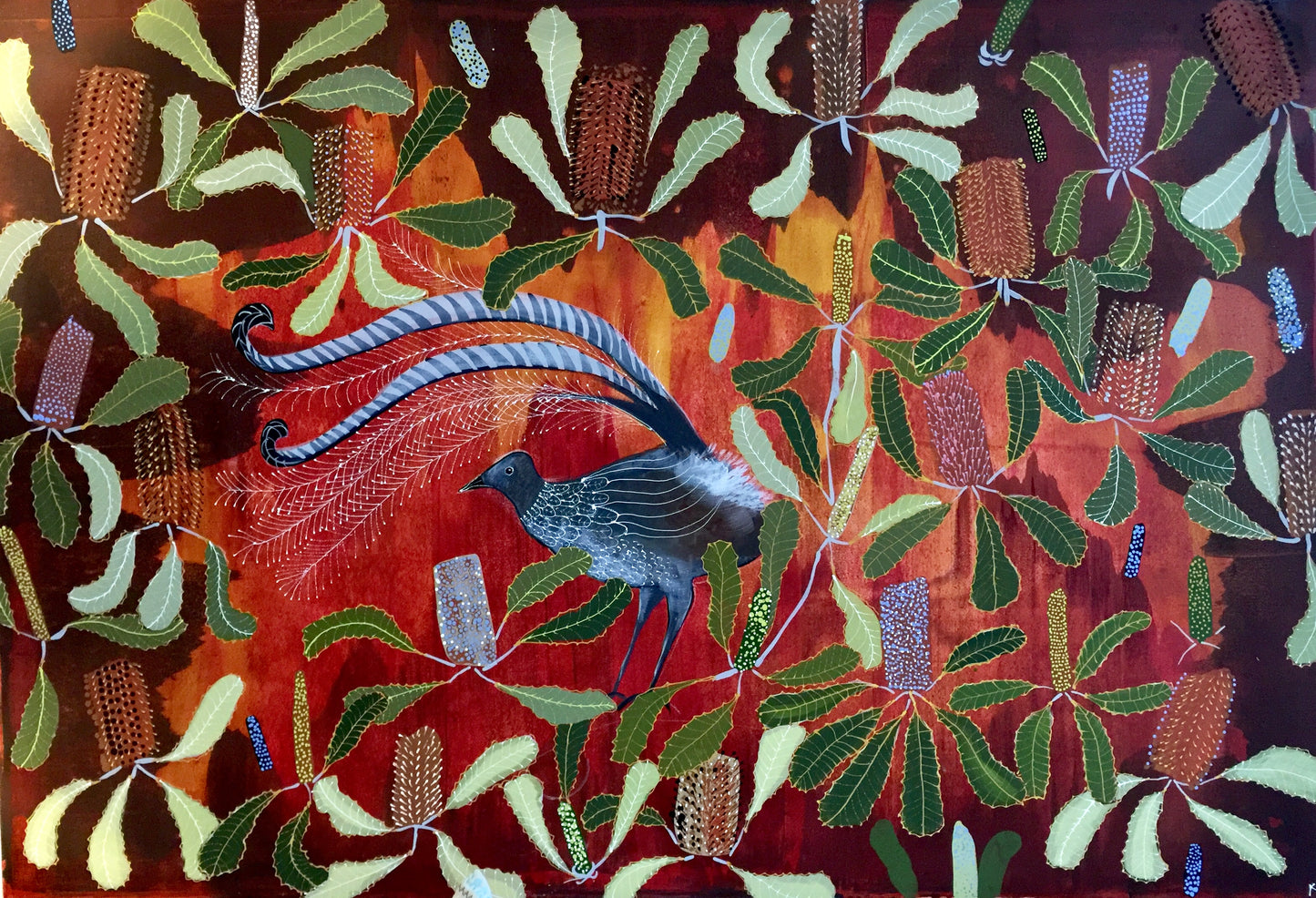 Lyrebird #2