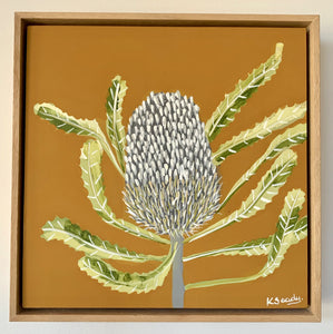 Banksia Mini #1
