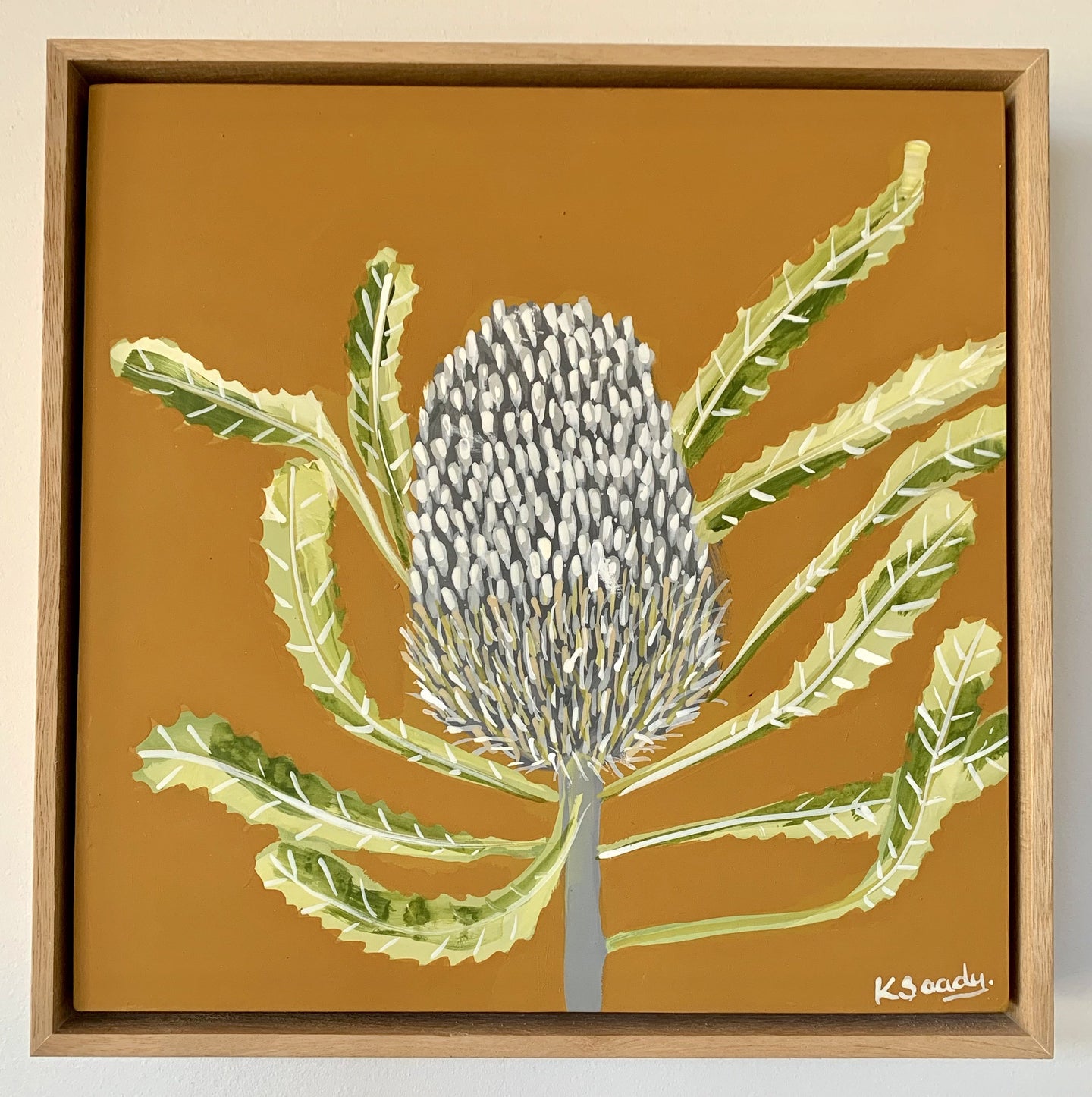 Banksia Mini #1