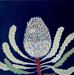 Banksia Mini #4