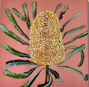 Joyful Day Banksia