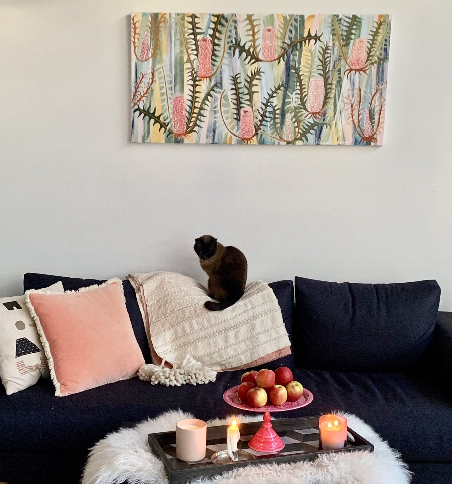 Blush Banksia