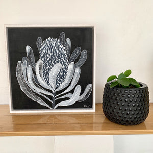 Banksia Mini #7