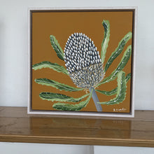 Load image into Gallery viewer, Banksia Mini #11