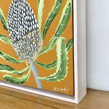 Load image into Gallery viewer, Banksia Mini #11