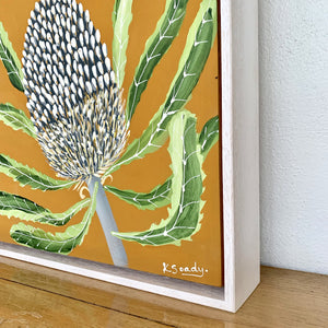 Banksia Mini #11