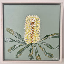 Load image into Gallery viewer, Banksia Mini #15