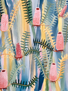 Spring Blush Banksia