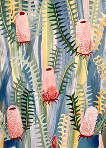 Spring Blush Banksia