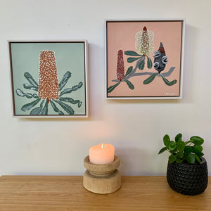 Banksia  Mini - Serrata 2