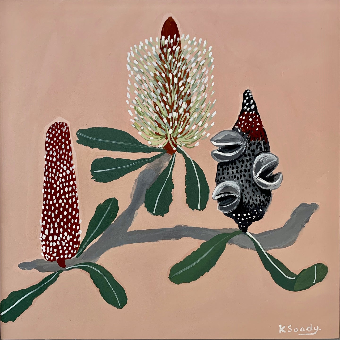 Banksia  Mini - Serrata 2