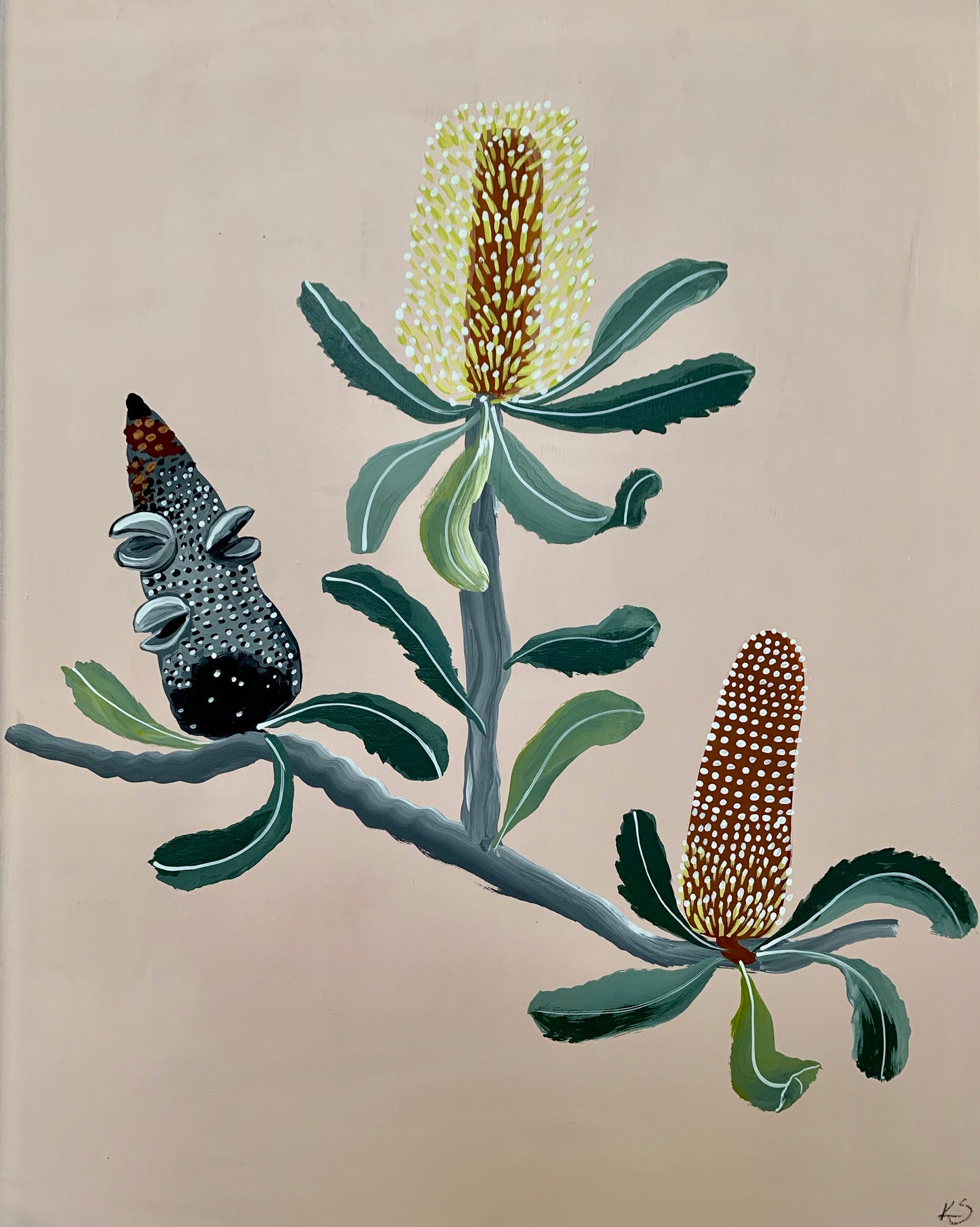 Banksia Mini - Serrata #3