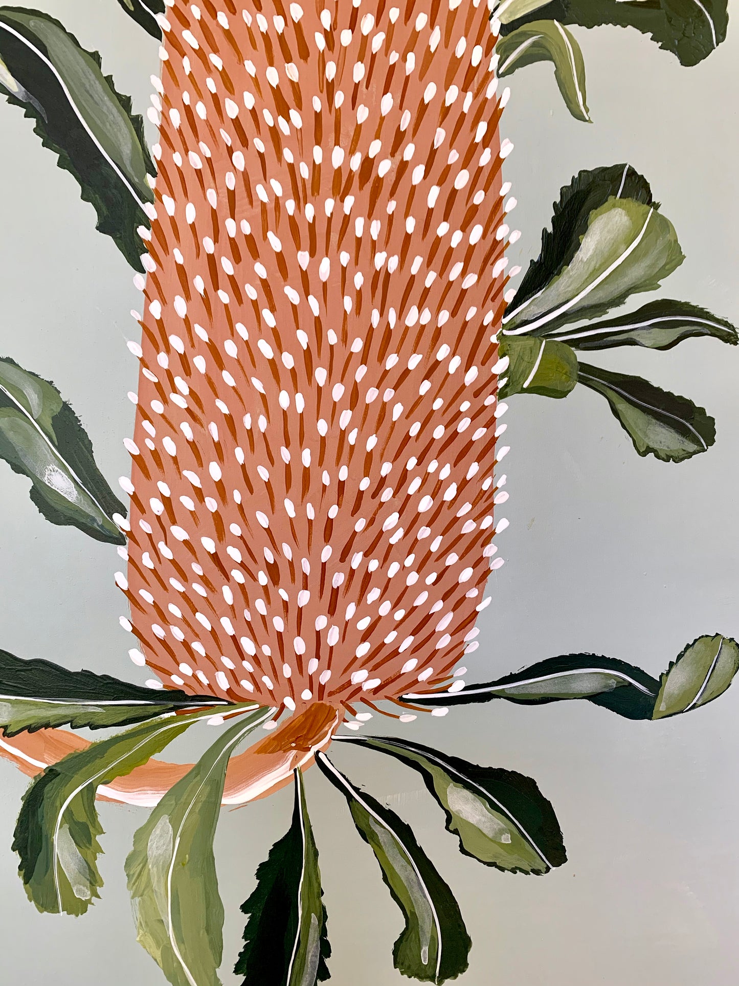 Banksia  Mini - Serrata # 4