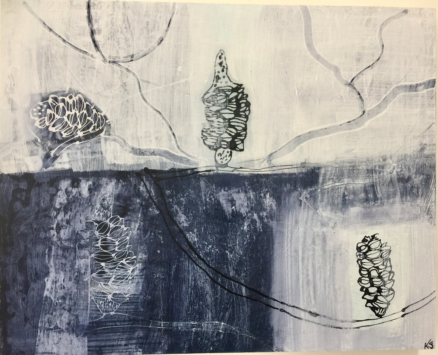 Banksia #11