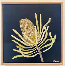 Load image into Gallery viewer, Banksia #6
