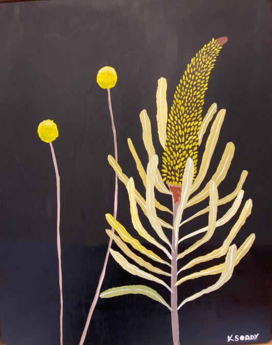 Billy Buttons and Banksia #2